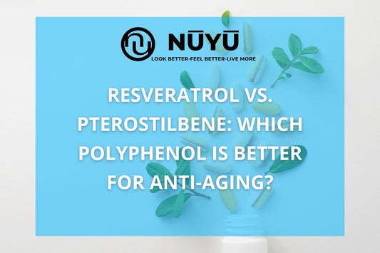 Resveratrol vs. Pterostilbene: Which Polyphenol is Better for Anti-Aging?