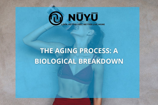 The Aging Process: A Biological Breakdown