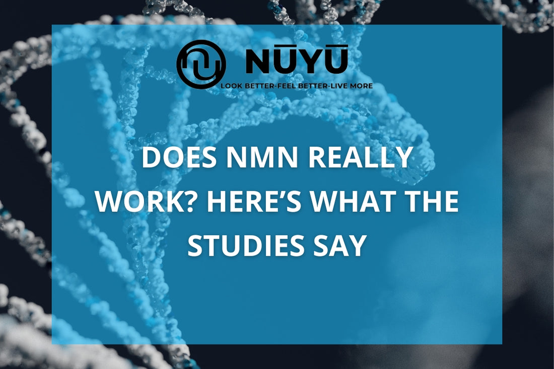 Does NMN Really Work? Here’s What the Studies Say